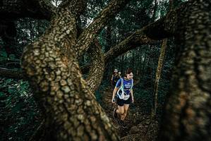 BIB: 
                            <button type="button" onclick="openModal(25697060)" class="btn btn-primary btn-sm float-right btn-popup" data-toggle="modal" data-target=".modal-high-quality">
                        <i class="fas fa-shopping-cart"></i> Add to Cart
                    </button>
                                            <button type="button" onclick="isThisMe(25697060, true)" class="btn btn-success btn-sm float-right btn-popup btn-isme hidden" data-toggle="tooltip" data-placement="bottom" title="นี่คือรูปของคุณใช่ไหม คลิกที่นี่เพื่อเอาเข้าอัลบั้ม">
                        <i class="fas fa-plus"></i> Add to album
                    </button>
                    <button type="button" onclick="isThisMe(25697060, false)" class="btn btn-warning btn-sm float-right btn-popup btn-isnotme hidden">
                        <i class="fas fa-ban"></i> Remove from album
                    </button>